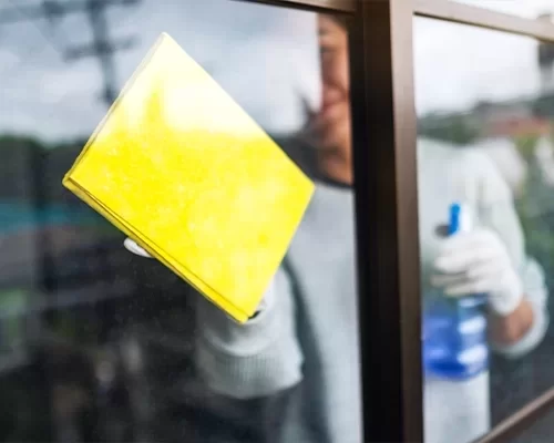 Entretien monopropri&eacute;t&eacute; &agrave; La Seyne-sur-Mer